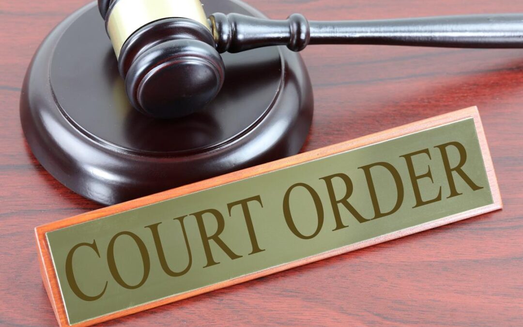 What are Temporary Court Orders?