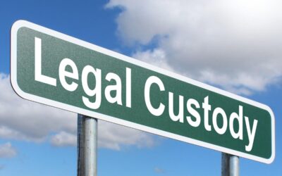What is Legal Custody?